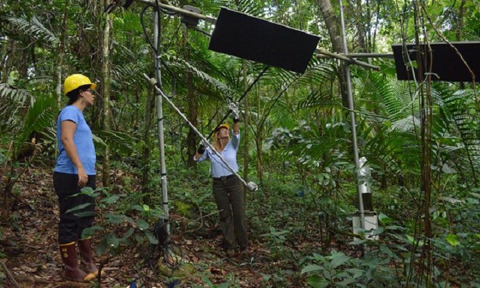 Global warming experiment turns up the heat in Puerto Rican forest